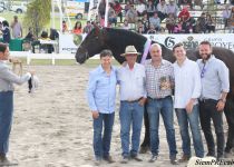 BARROCO XVI DE HACIENDA SANTA LUCIA, CAMPEON DEL CONCURSO. RECOGEN